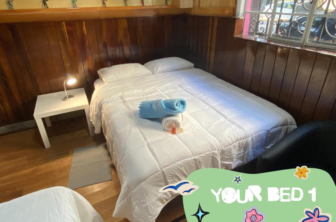 Hostal Fungi Casa Rosa 墨西哥城 外观 照片